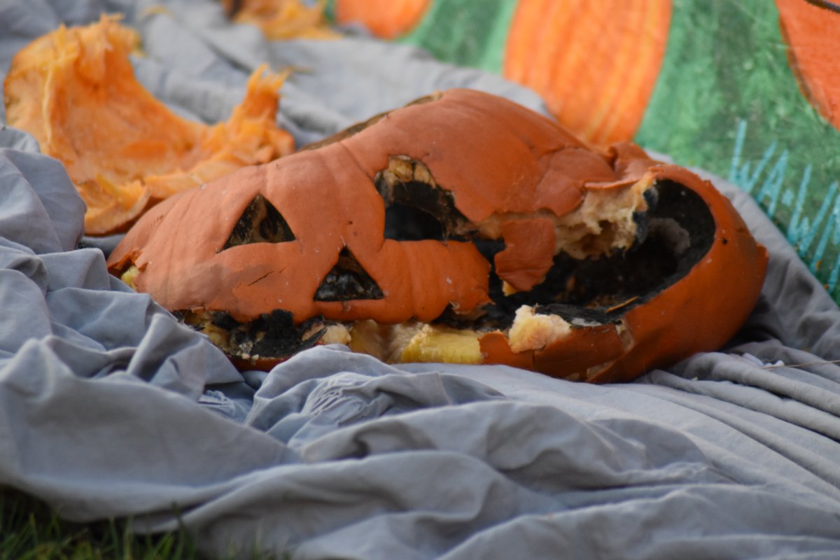 rotting pumpkin